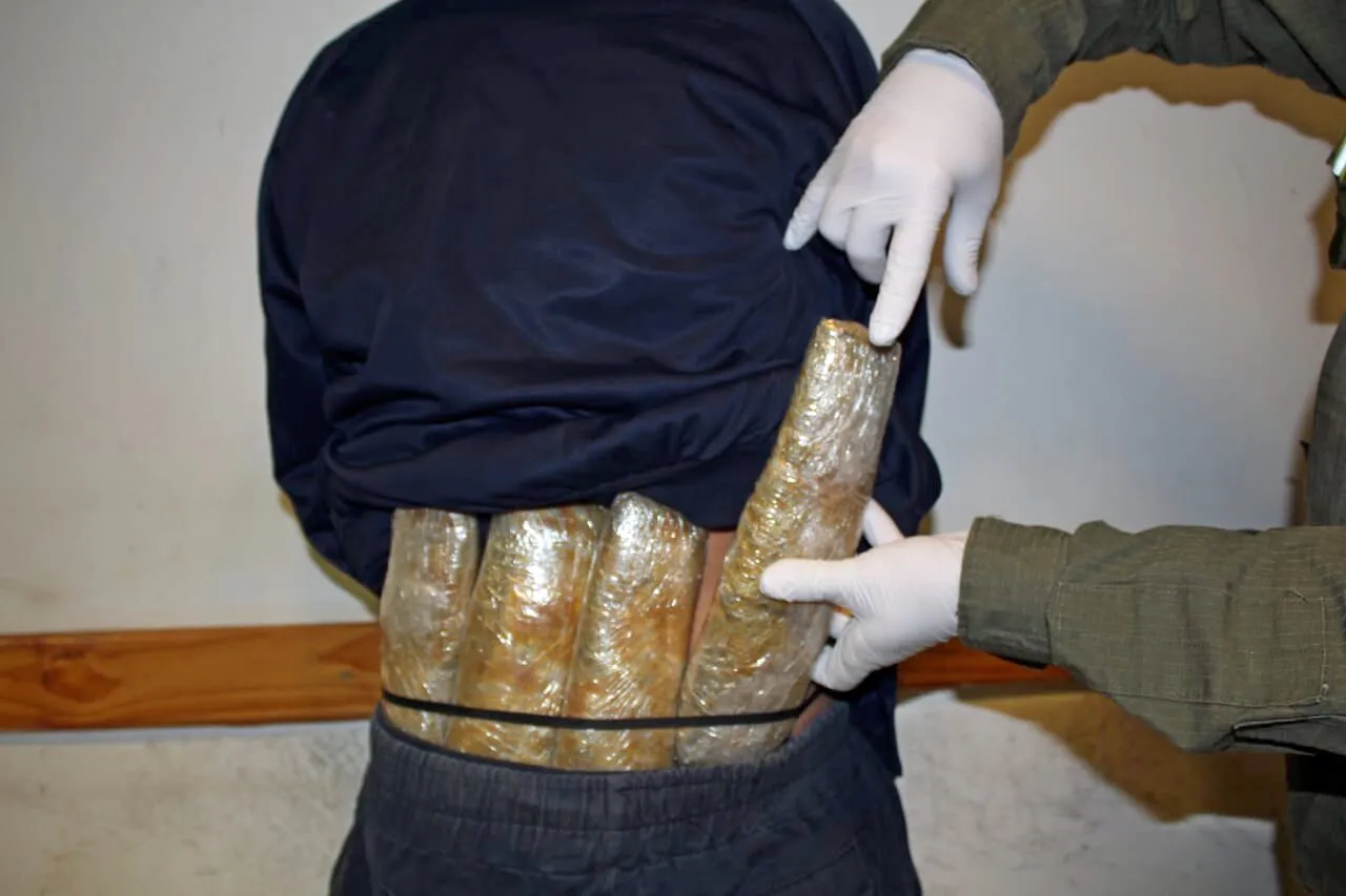 dos_pasajeros_llevaban_paquetes_con_marihuana_adosados_a_sus_cuerpos_1
