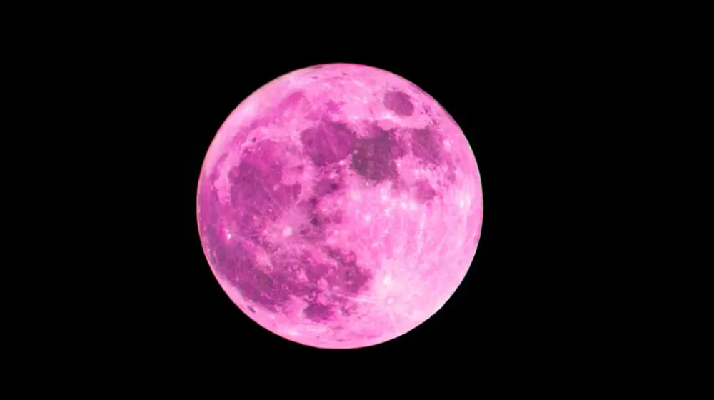 WhatsApp Image 2026-03-26 at 10.17.30