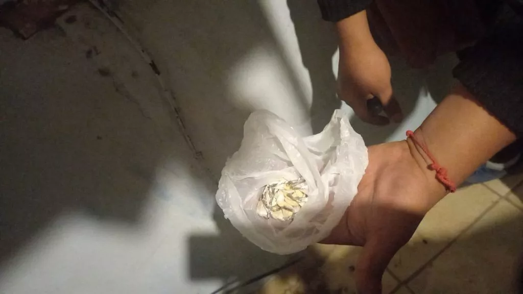Cocaína-1024x576 (1)