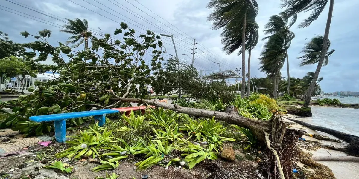 WhatsApp Image 2024-07-03 at 08.18.47