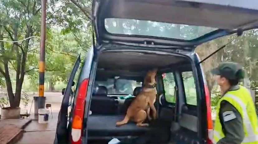 64,410 kilos cocaína Aguaray Salta (5)