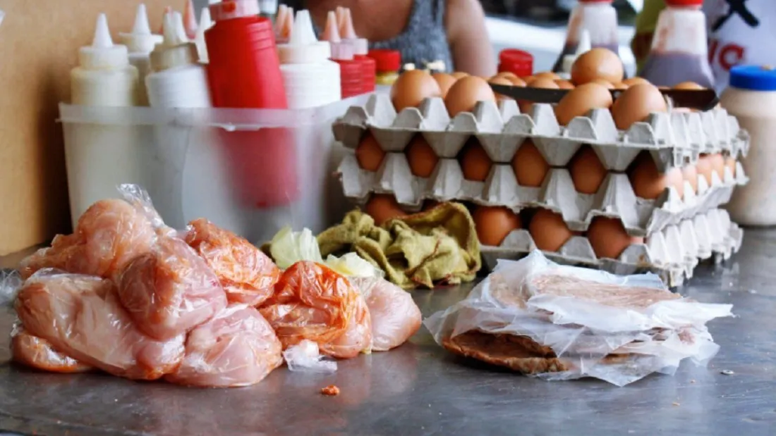 Salmonella-1100x619