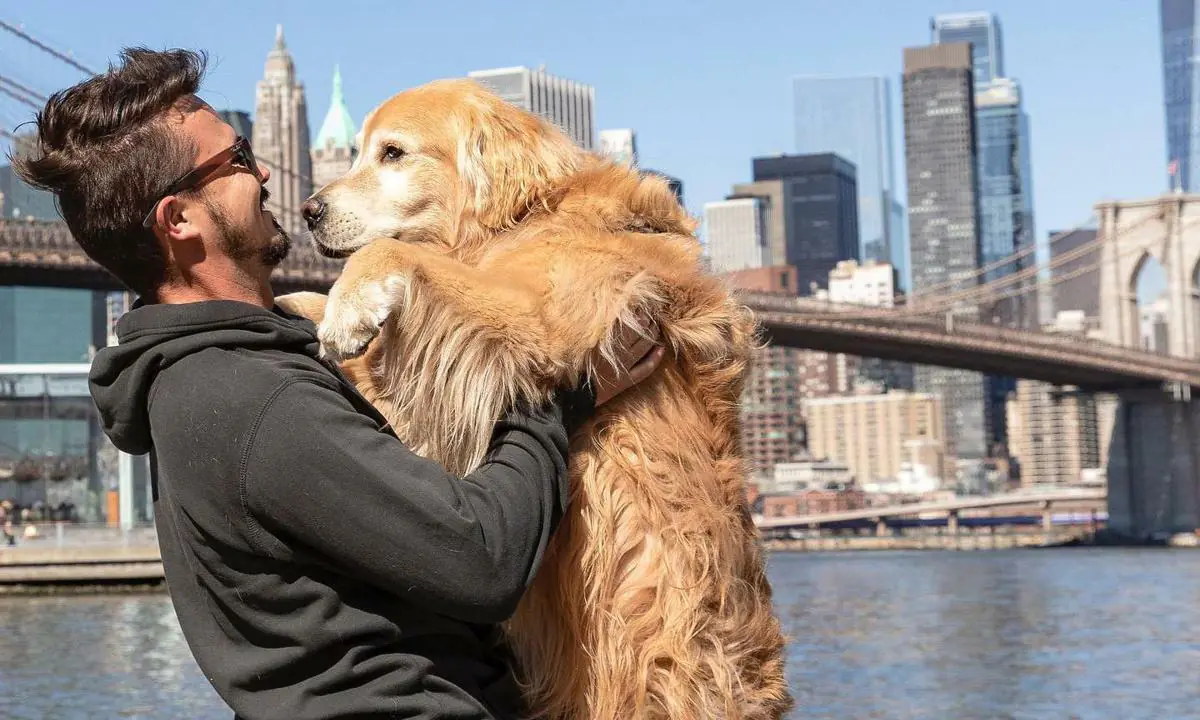 un-influencer-cuyo-sue-o-era-viajar-de-brasil-a-alaska-junto-a-su-perro-pierde-la-vida-a-dos-d-as-de-llegar-a-su-destino