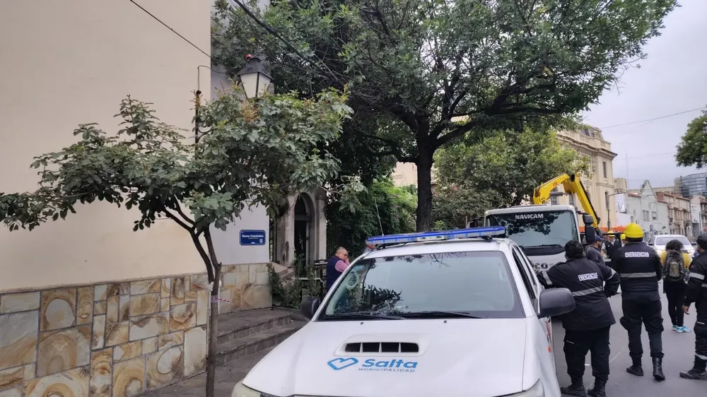 multimedia.grande.b98f00dd9500bc5b.V2hhdHNBcHAgSW1hZ2UgMjAyNS0wMS0yOSBhdCAxMC5fZ3JhbmRlLndlYnA=