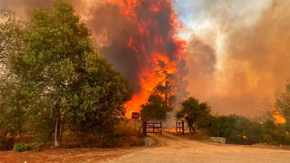 1010x567_incendio-forestales-473935-081548
