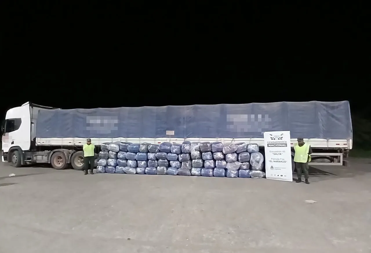 1.300 kilos de hojas de coca en Salta