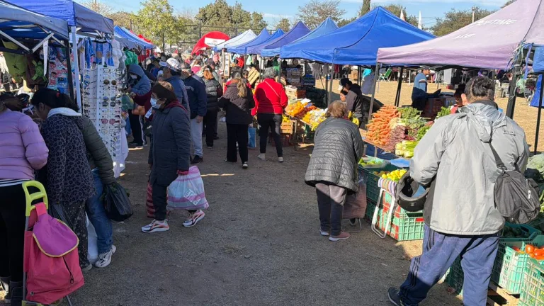 el-mercado-en-tu-barrio-3-768x432