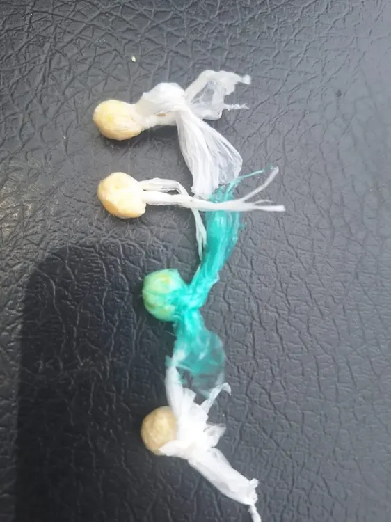 WhatsApp-Image-2024-02-11-at-3.09.44-PM-1-1068x1424