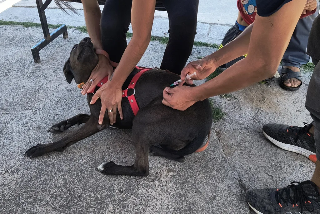 vacunacion-solis-pizarro-6-1024x687