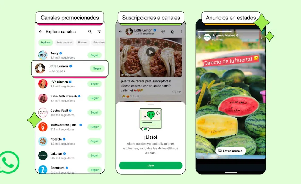 WhatsApp Image 2025-06-16 at 11.21.34