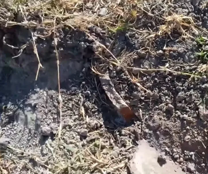 WhatsApp Image 2024-08-01 at 08.47.02