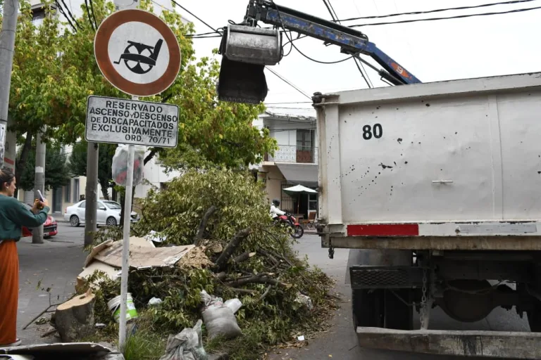 limpieza-de-basural-espana-y-brown-4-768x512