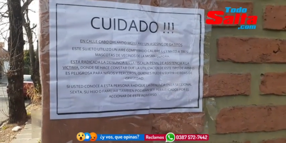 Diseño sin título (16)