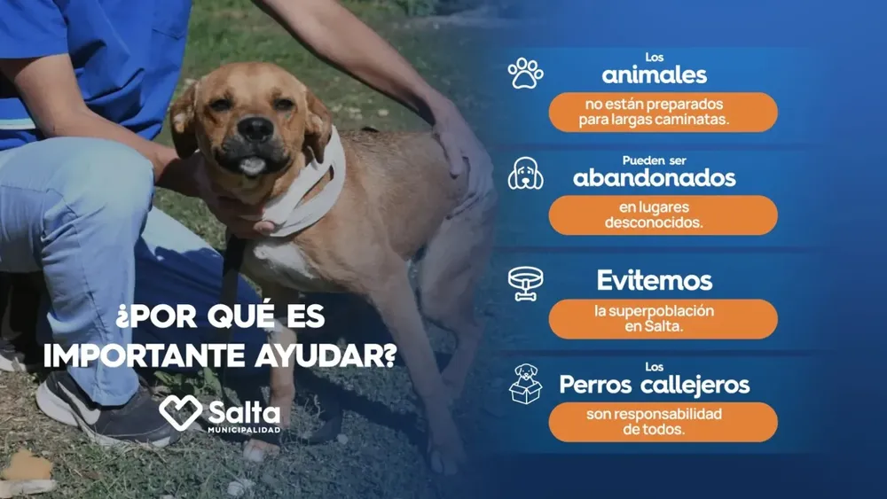 WhatsApp Image 2025-09-10 at 06.28.23 (2)