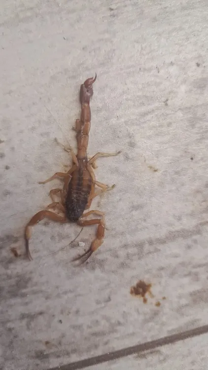 WhatsApp Image 2024-03-11 at 11.24.12