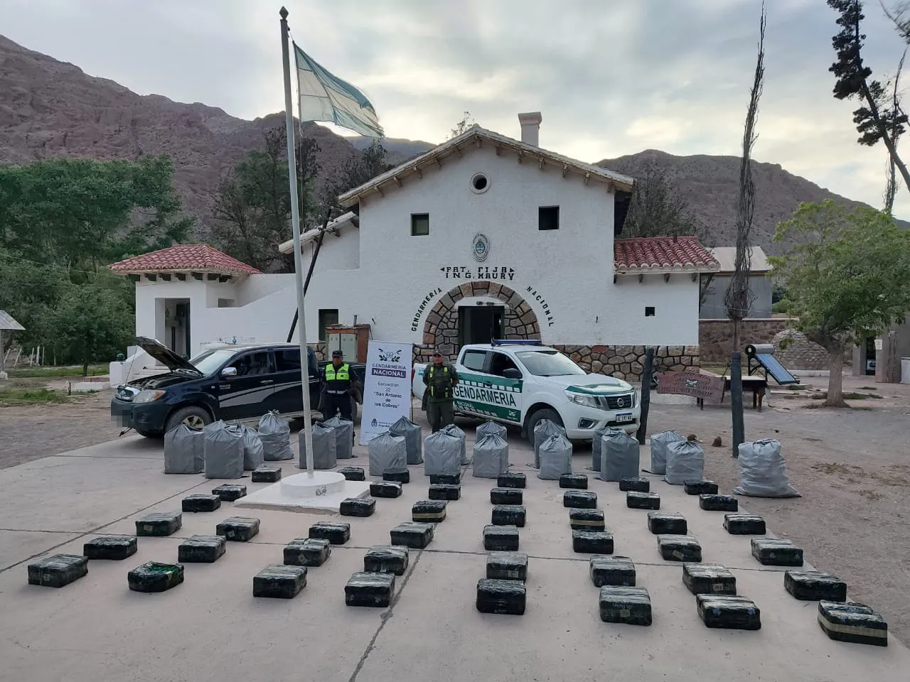 SALTA-HOJAS DE COCA-805 KILOS