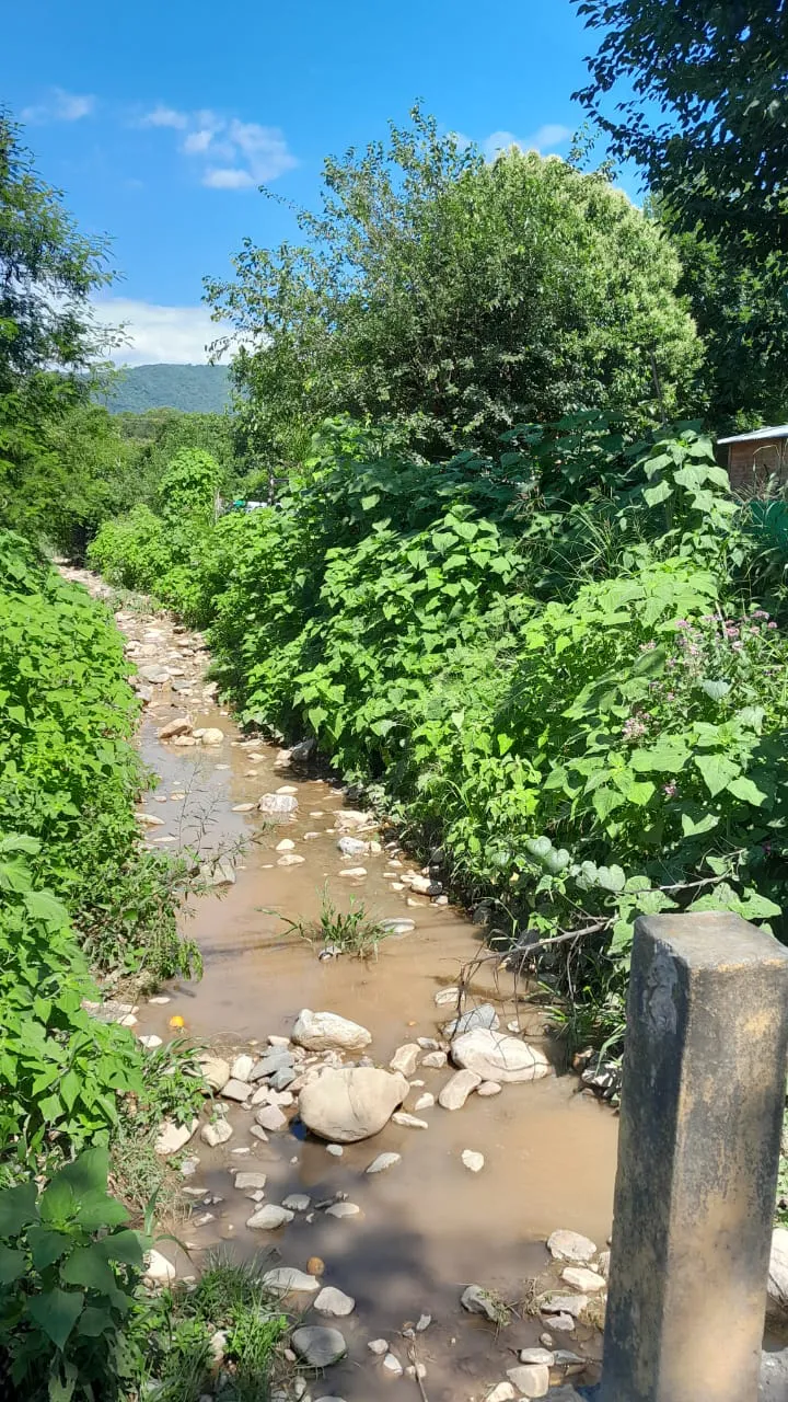 WhatsApp Image 2025-01-17 at 20.09.55