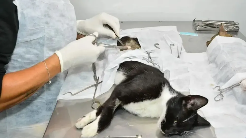 PORTADA PARA TODO SALTA (6)