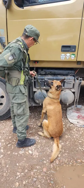 14 kilos 955 gramos de cocaína dentro de un depósito de agua limpiaparabrisas de un camión (1)