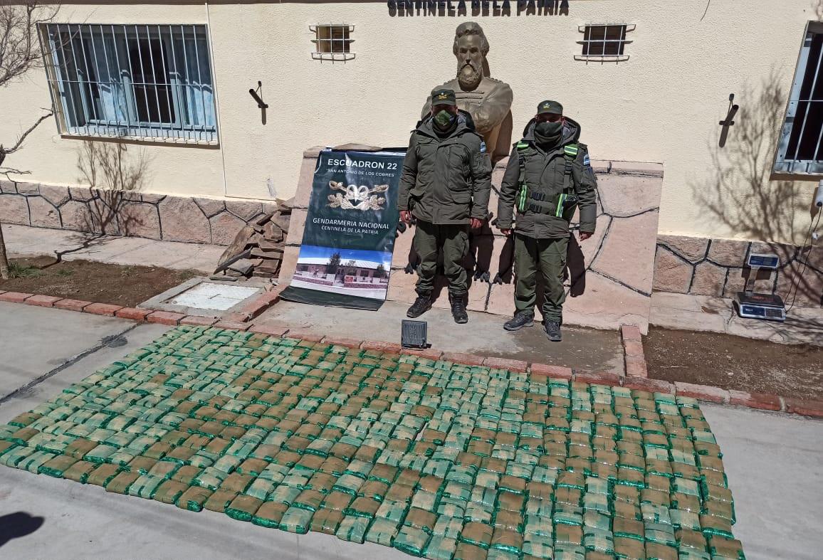 Secuestran más de 90 kilos de hojas coca trasladada en una camioneta (4)
