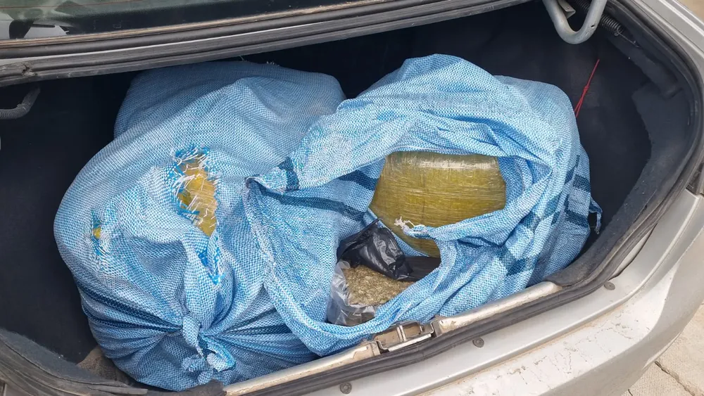 64,031 kg marihuana Salta (2)