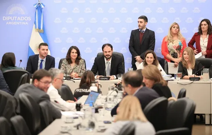 diputados