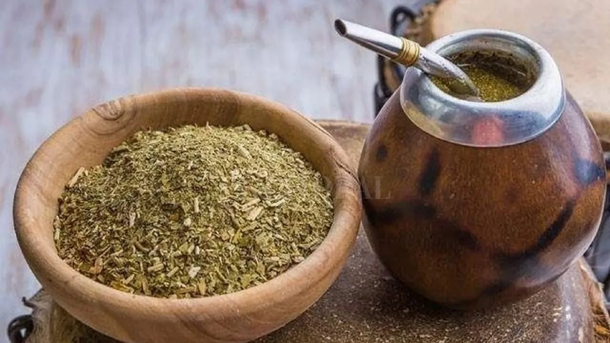 yerba-matejpg