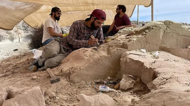 paleontologia