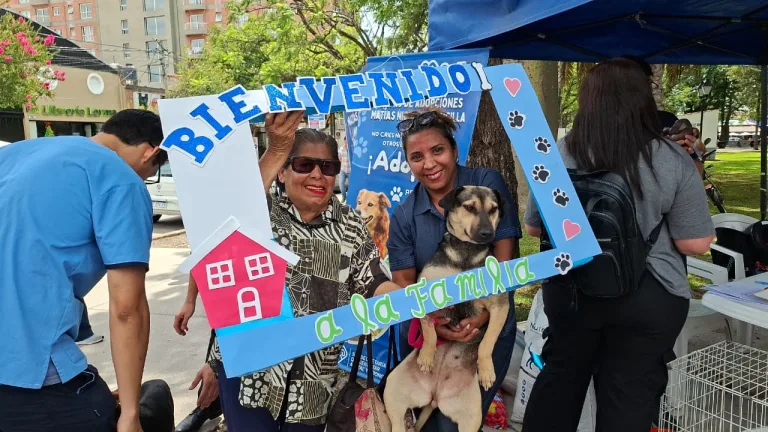 jornada-adopcion-plaza-alvarado-4-768x432