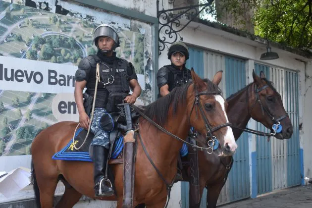 WhatsApp-Image-2025-02-16-at-8.24.10-AM-1-630x420