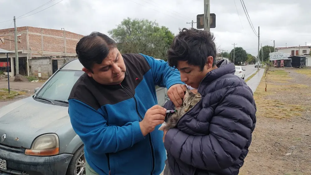 movil-castracion-y-vacunacion-3-1536x864