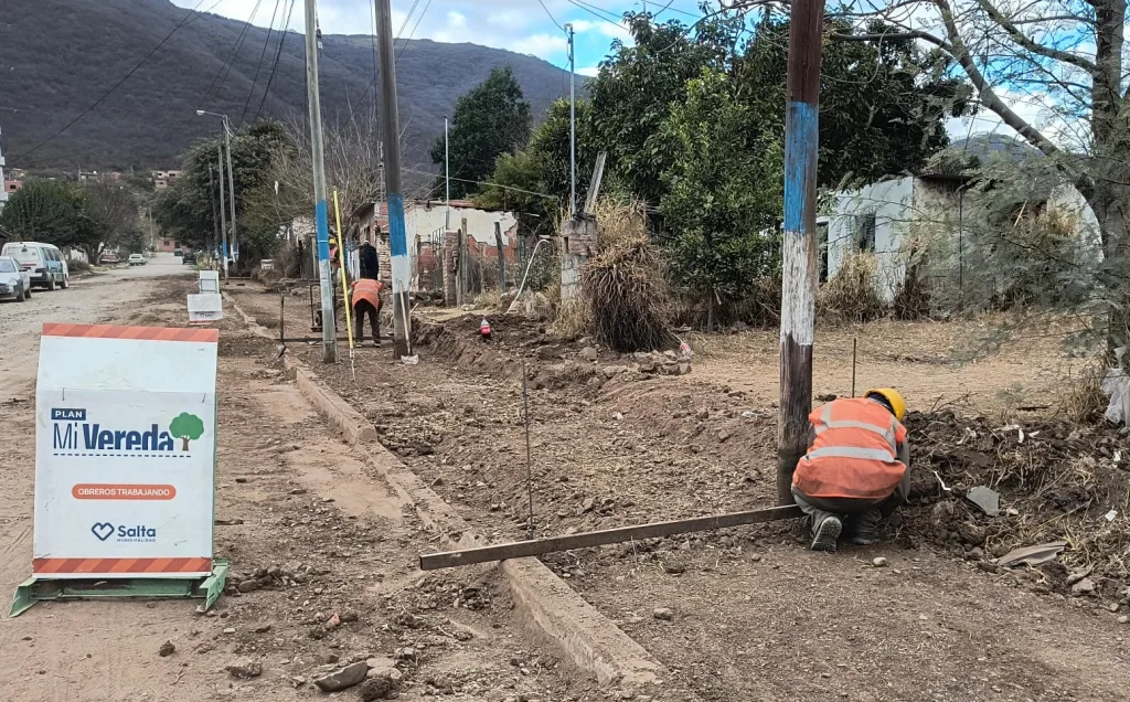 mi-vereda-floresta-1-1024x636