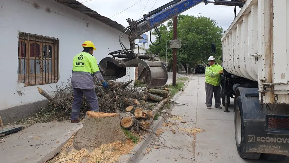 descacharrado-solidaridad-2-1536x864