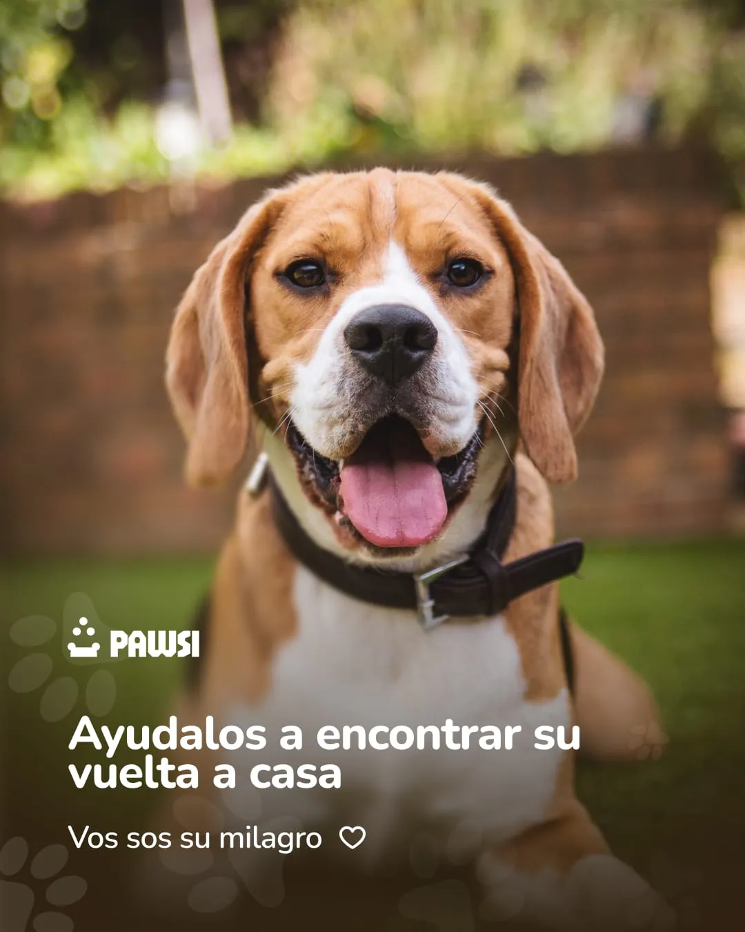 WhatsApp Image 2025-09-19 at 09.48.09