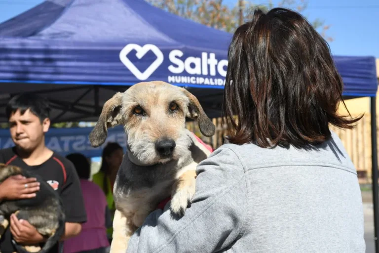 vacunacion-antirrabica-en-miguel-ortiz-3-768x512