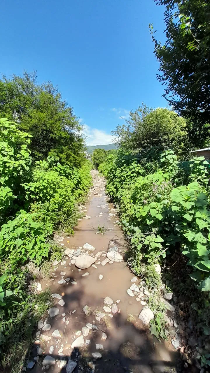 WhatsApp Image 2025-01-17 at 20.09.56