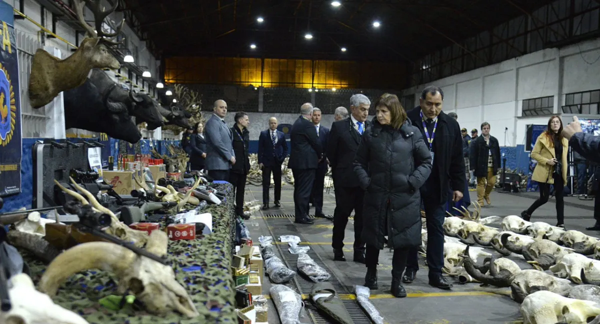 WhatsApp Image 2024-08-12 at 08.21.55