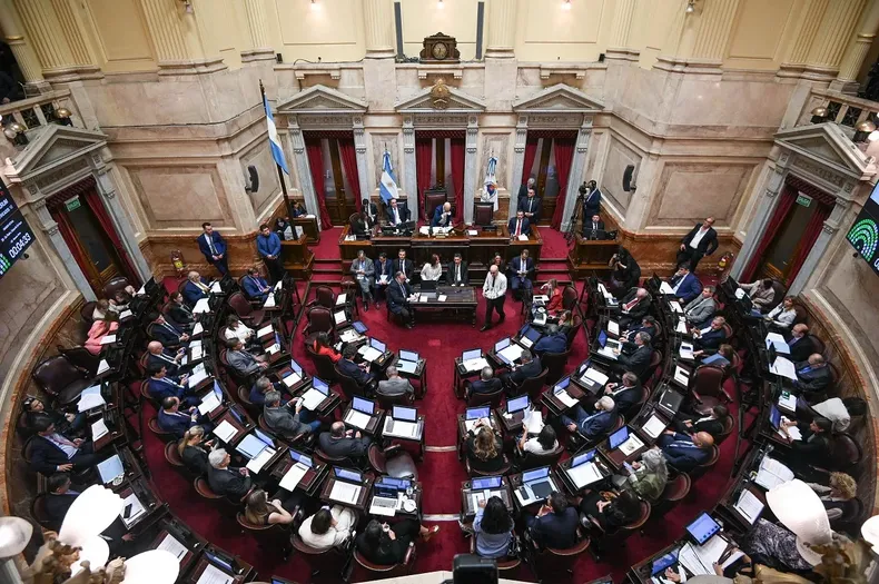 senado-sesion-ordinaria-papa-francisco-24-04-25