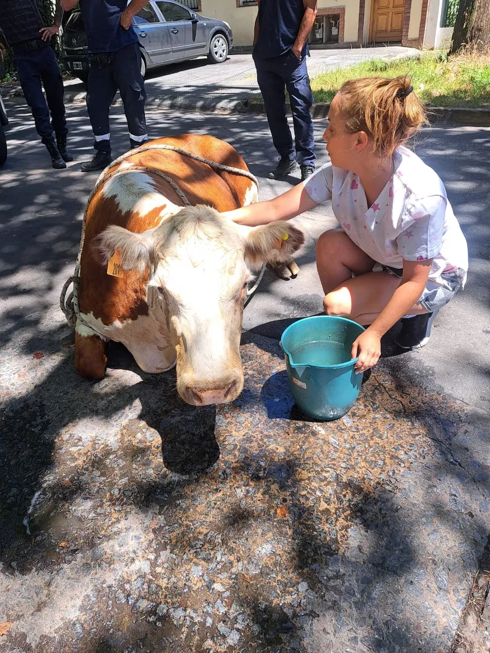 WhatsApp Image 2025-01-14 at 09.19.07