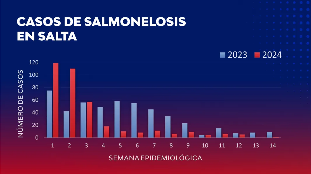 11872-disminuyeron-significativamente-los-casos-de-salmonelosis-en-salta