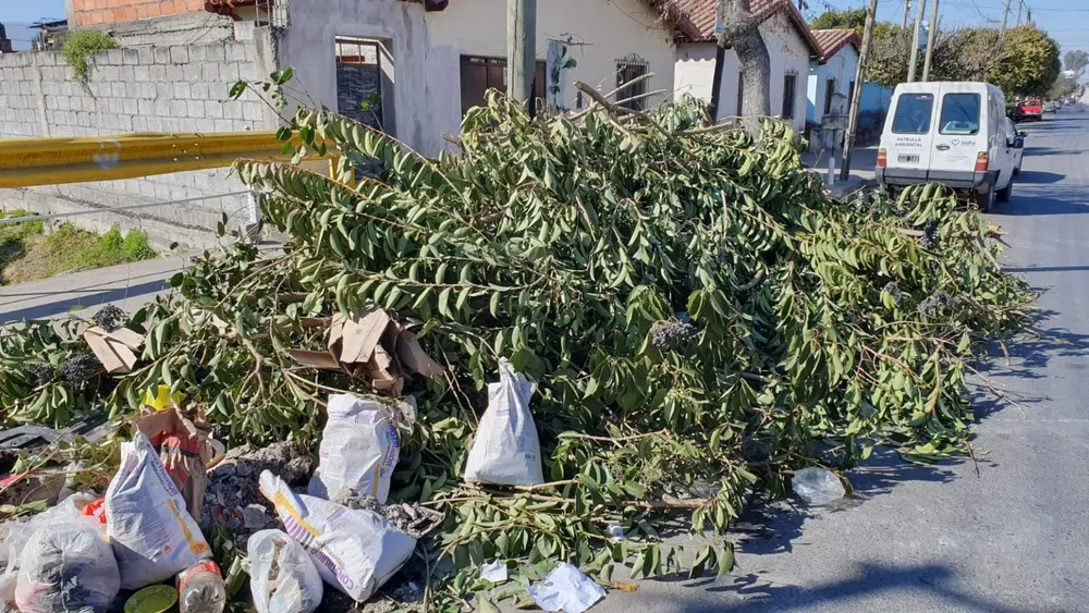 microbasural-moldes-800-6-1536x864