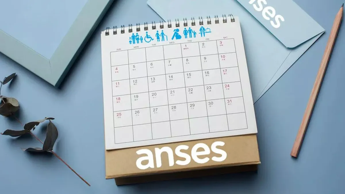 mayo-anses-jpg