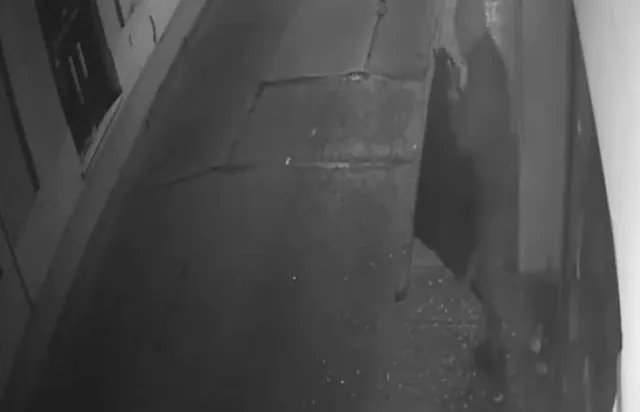 55a210_da766d53d40e41e98bfb71df607d6b4d~mv2