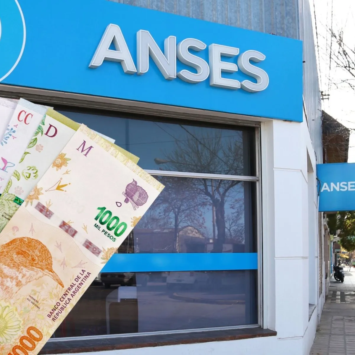 sin_turnos_en_anses.jpg_250472578