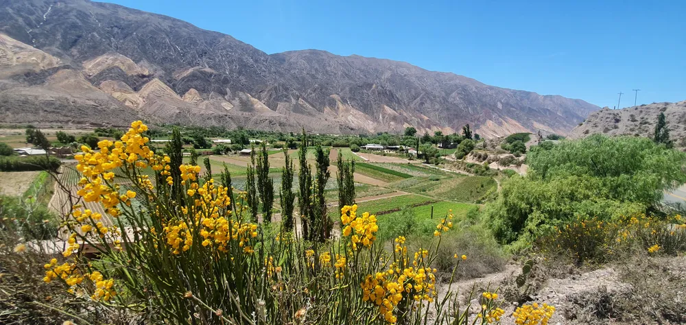 Jujuy-Maimará-2-1