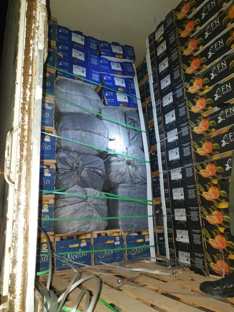 HOJAS DE COCA ENTRE CITRICOS-SALTA (1)