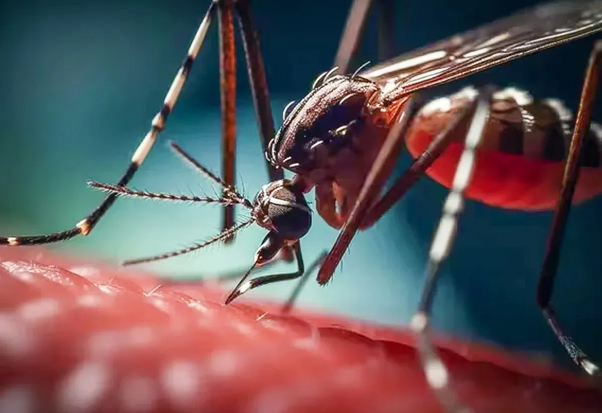 WhatsApp Image 2024-02-07 at 19.48.47