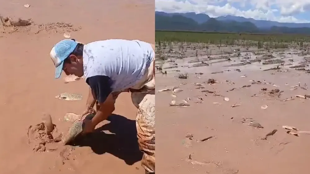 PORTADA PARA TODO SALTA