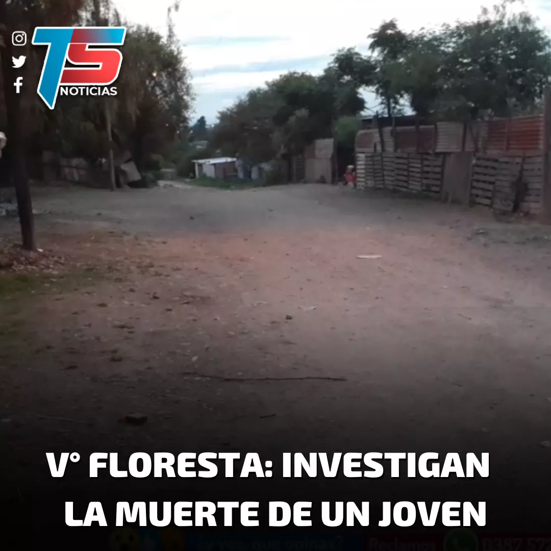 v floresta