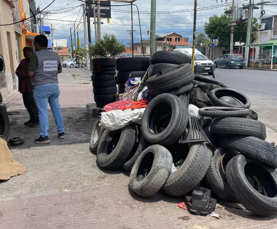 gomeria-1-jpeg-e1737572973410